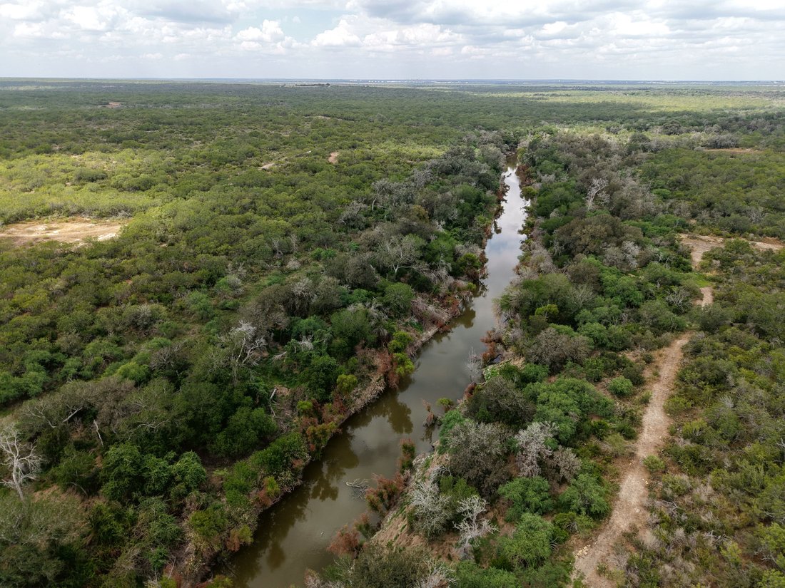 Farm Ranch in George West, Texas, United States 2 - 19067418