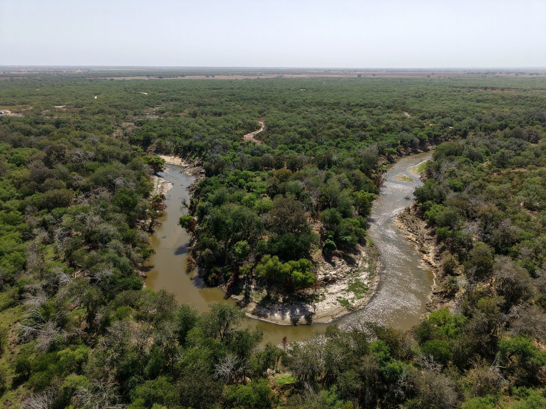 Farm Ranch in George West, Texas, United States 1 - 19067418