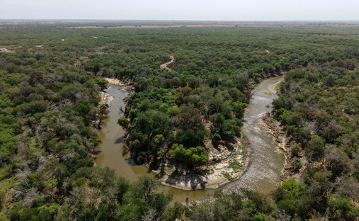 Azienda agricola a George West, Texas, Stati Uniti 1