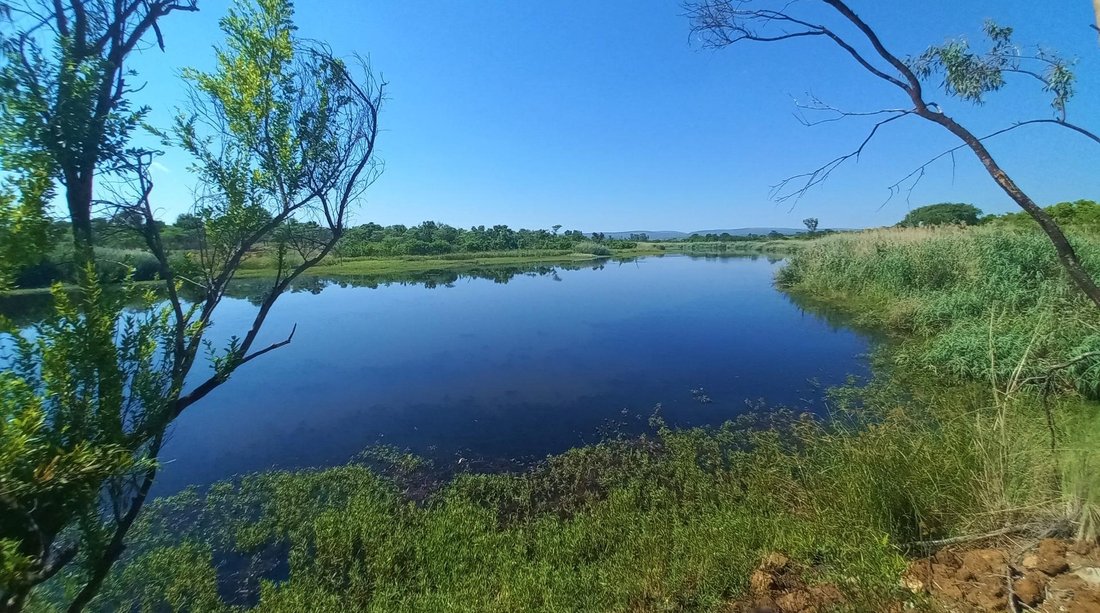 Corps de ferme à Municipalité locale de Greater Letaba, Limpopo, Afrique du Sud 1 - 19067786