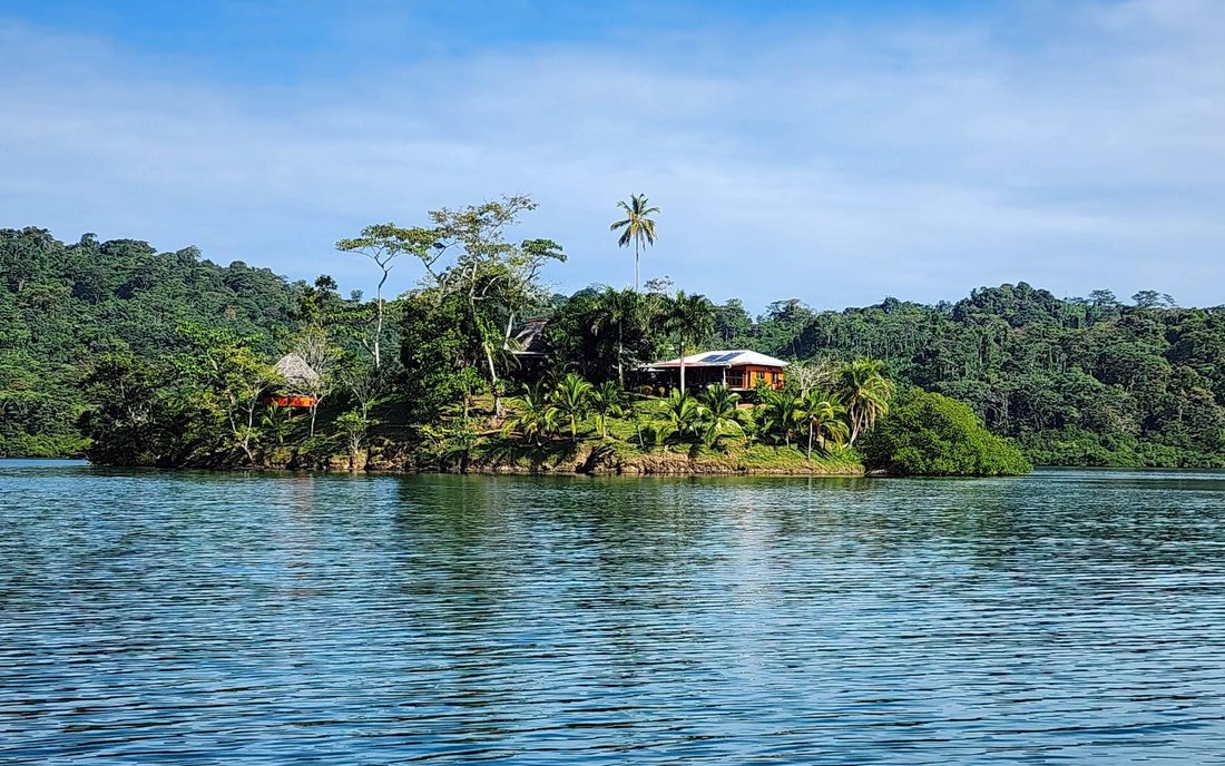 Maison à Cauchero, Bocas del Toro, Panama 4 - 19066394