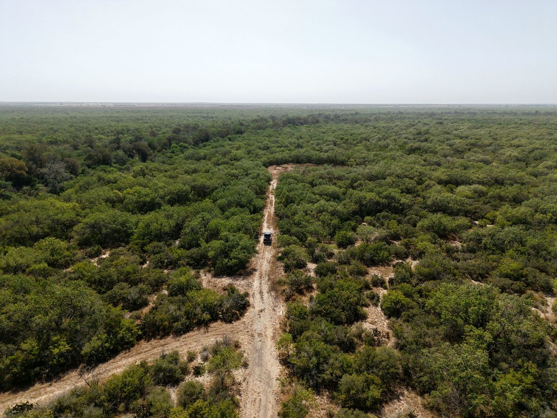 Farm Ranch in George West, Texas, United States 3 - 19067418