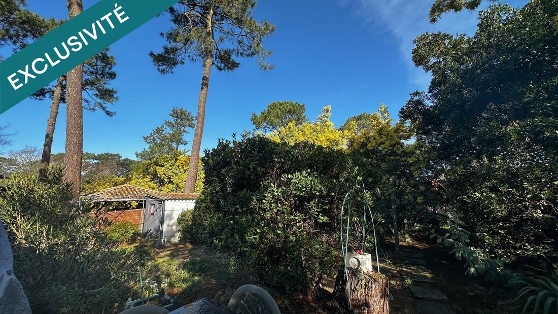 House in Aiguillon, Arcachon, France 5 - 19067895
