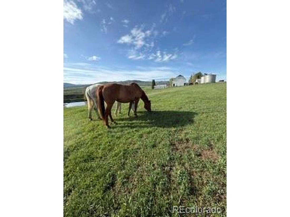 Farm Ranch in Steamboat Springs, Colorado, Vereinigte Staaten 1 - 19066224