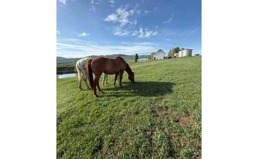 Farm Ranch in Steamboat Springs, Colorado, Vereinigte Staaten 1