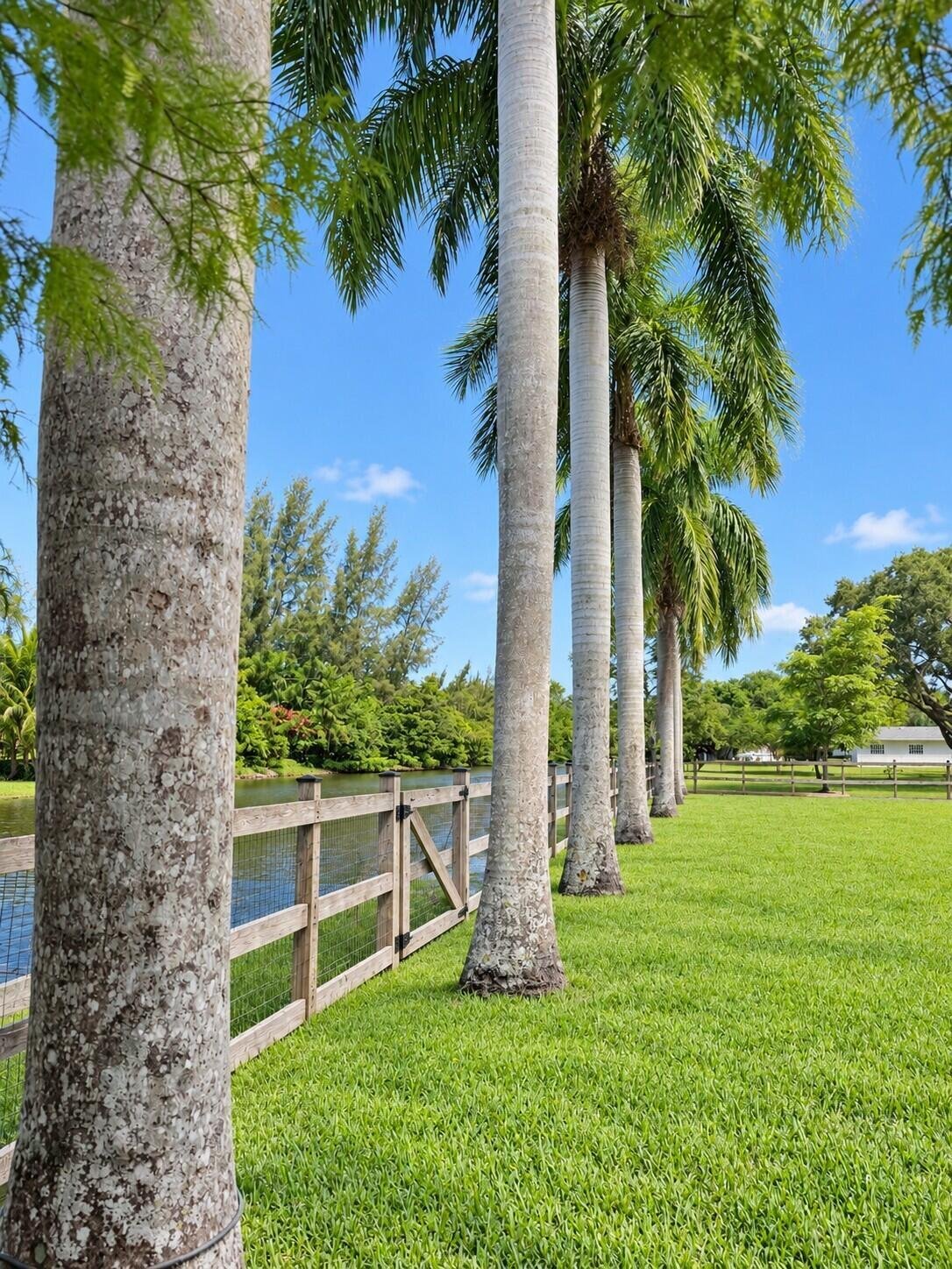 House in Miramar, Florida, United States 3 - 19066186
