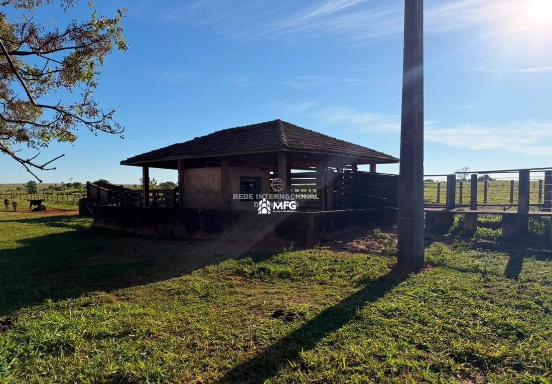 Azienda agricola a Teodoro Sampaio, San Paolo, Brasile 3 - 19067546