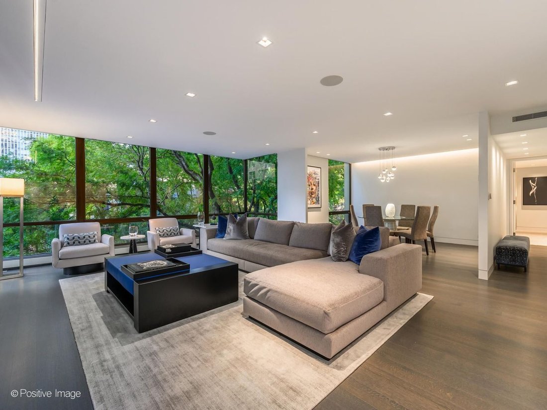 Condo in Chicago, Illinois, United States 3 - 19067257