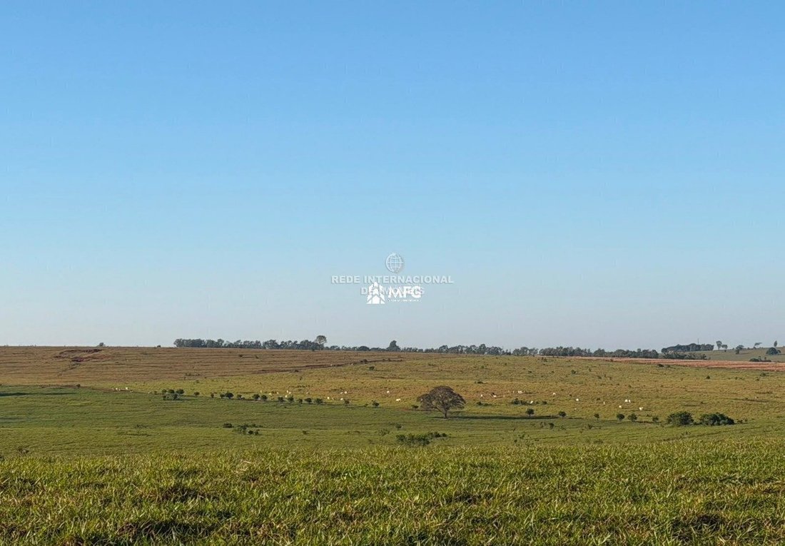 Azienda agricola a Teodoro Sampaio, San Paolo, Brasile 1 - 19067546