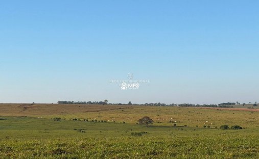 Farm Ranch in Teodoro Sampaio, State of São Paulo, Brazil 1
