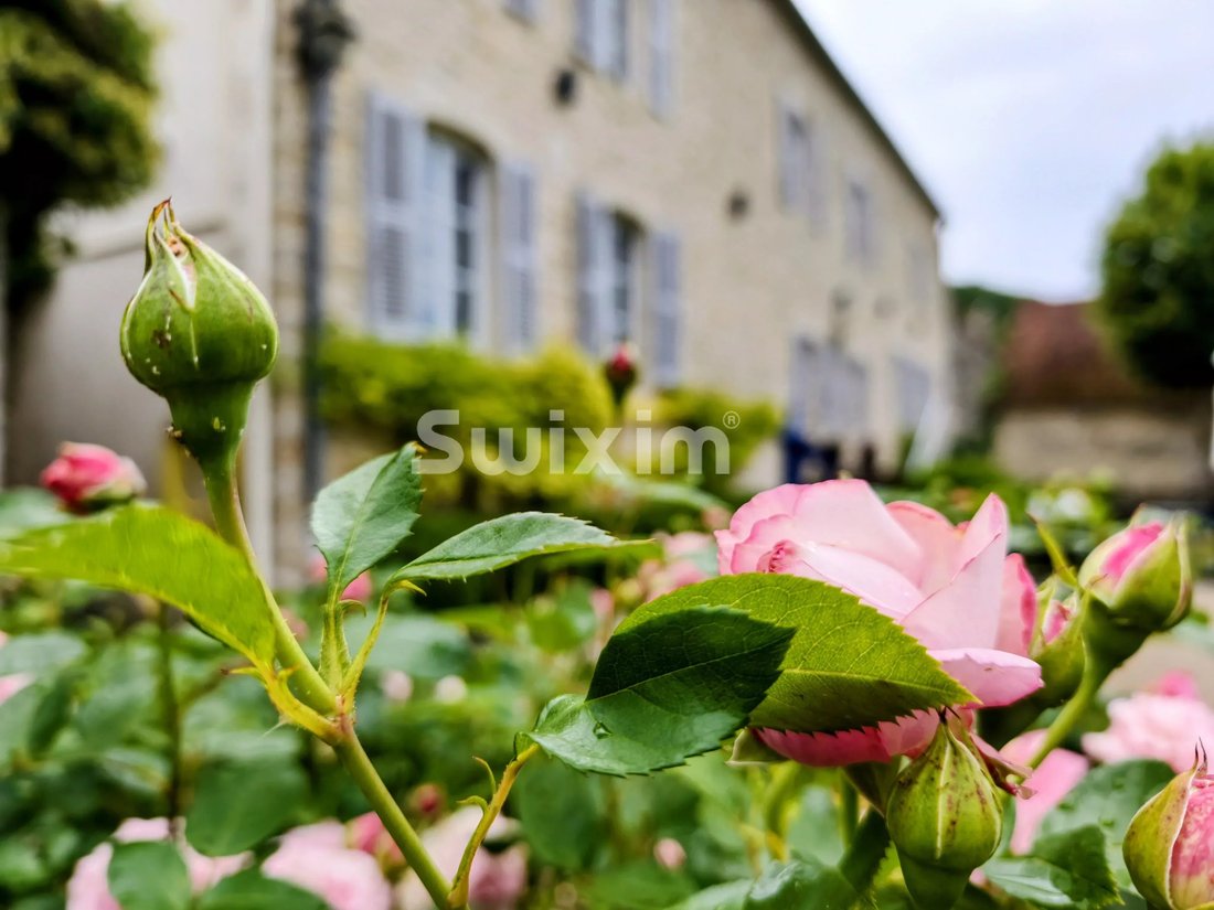 Estate in Centre Ville, Beaune, France 1 - 19066962