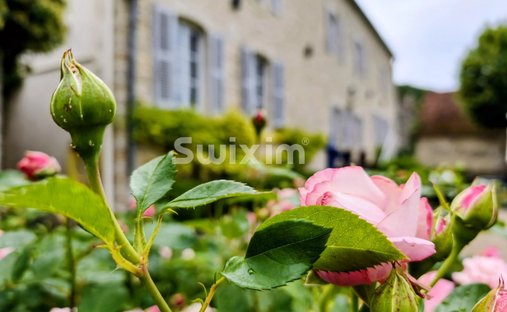 Estate in Centre Ville, Beaune, France 1