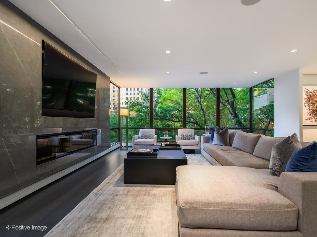 Condo in Chicago, Illinois, United States 2 - 19067257