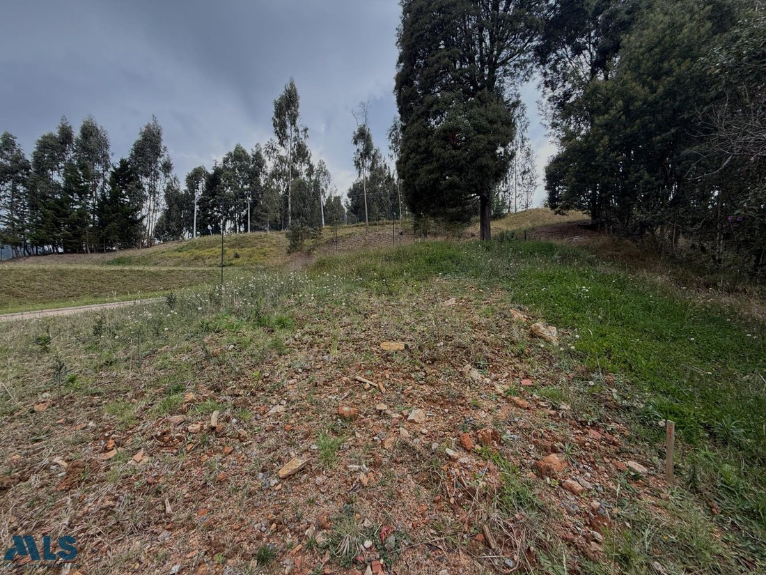 Land in Vereda El Penasco, Antioquia, Colombia 1 - 19066686