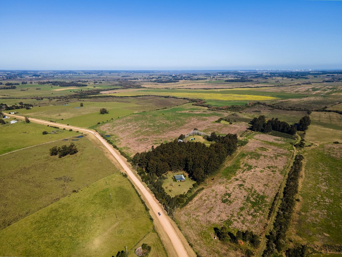 Farm Ranch in San Carlos, Departamento Maldonado, Uruguay 2 - 19067818