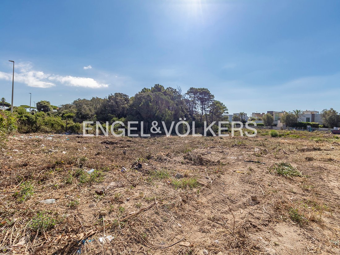 Land in Fregenae, Focene, Lazio 5 - 19070896