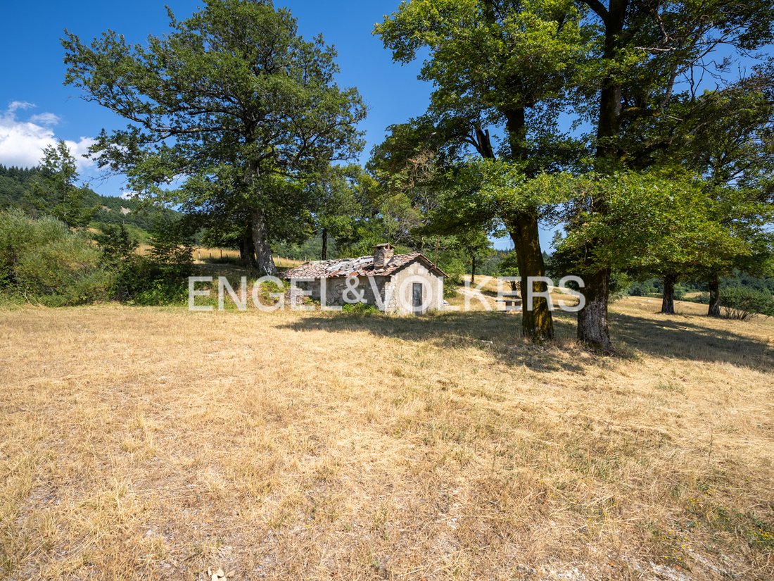 Firenzuola, Tuscany, Italy 5 - 19071477