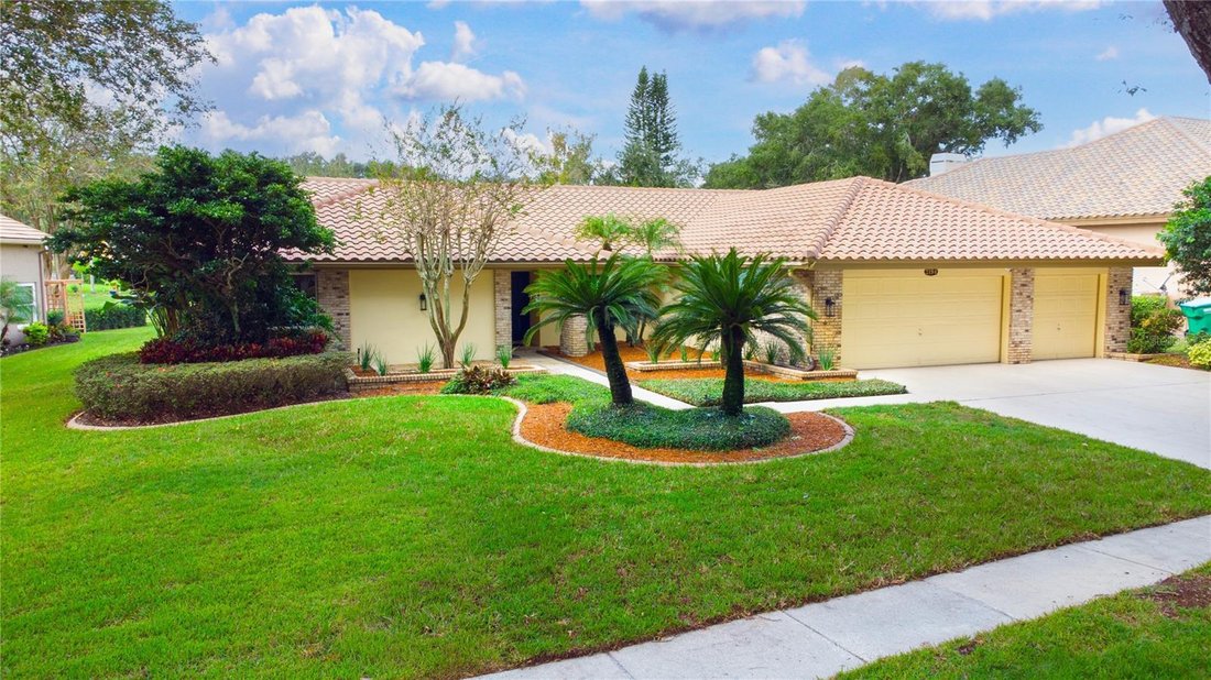 Casa a Palm Harbor, Florida, Stati Uniti 1 - 19068575
