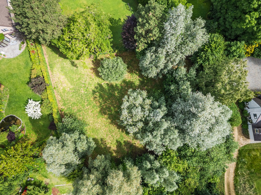 Land in Tervuren, Flanders, Belgium 2 - 19071355