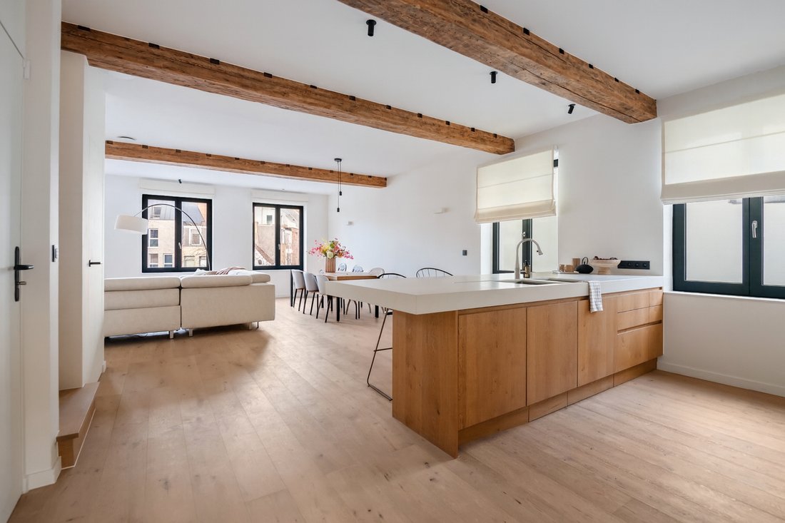 Wohnung in Antwerpen, Flämische Region, Belgien 3 - 19068811