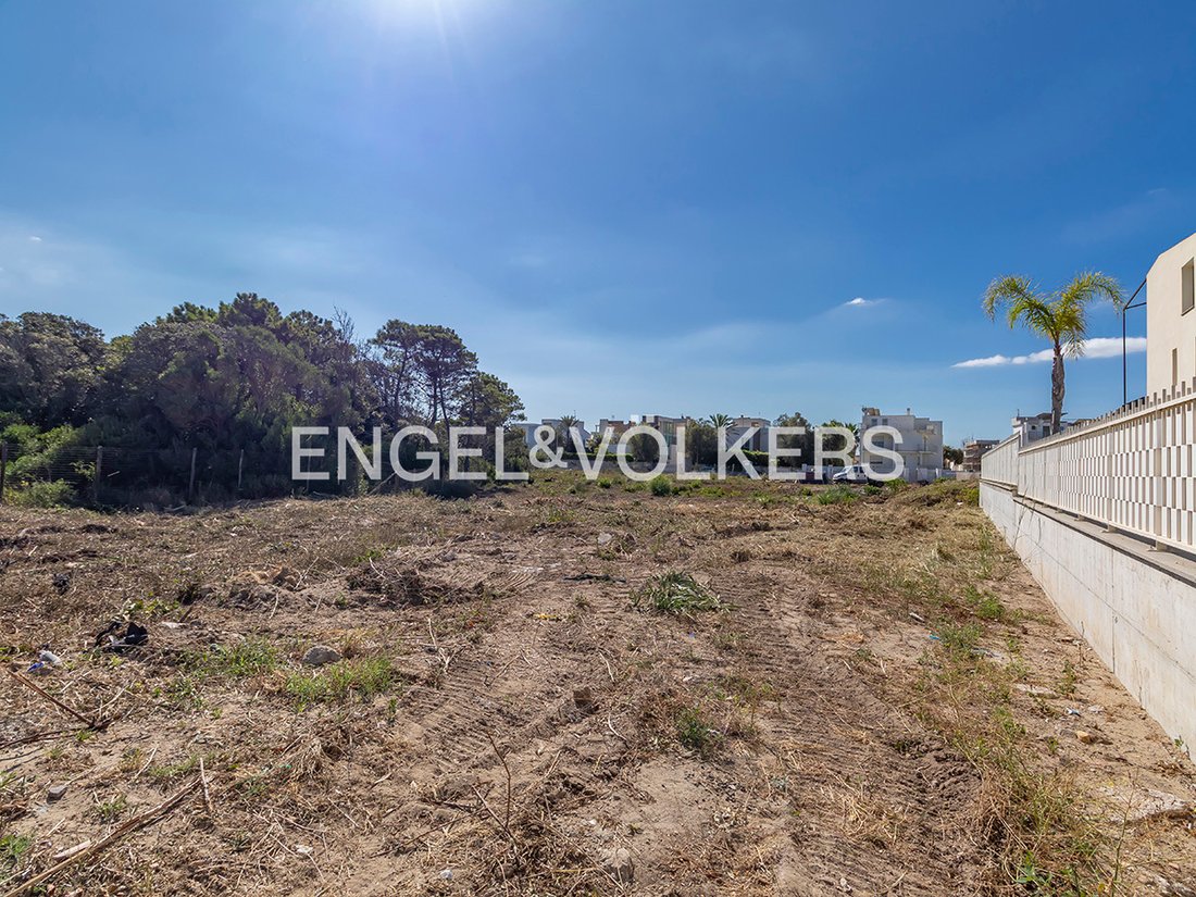 Land in Fregenae, Focene, Lazio 4 - 19070896