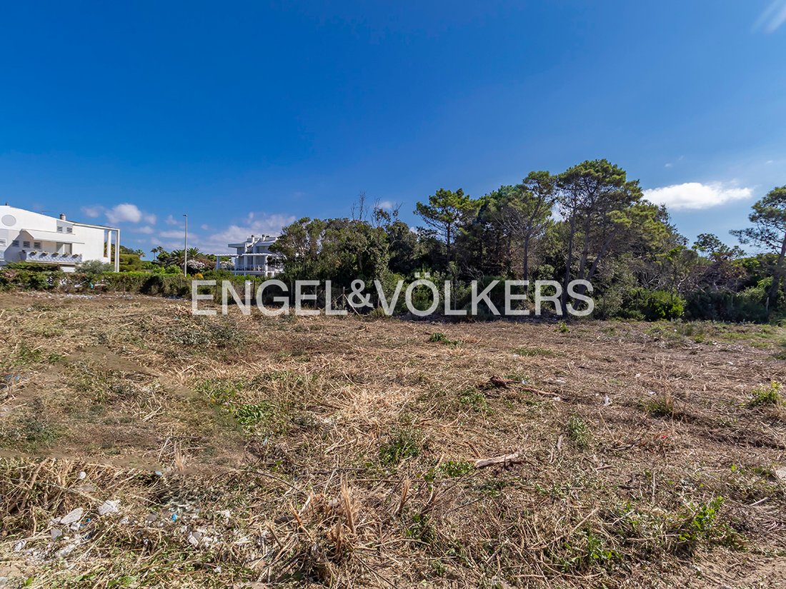 Land in Fregenae, Focene, Lazio 3 - 19070896