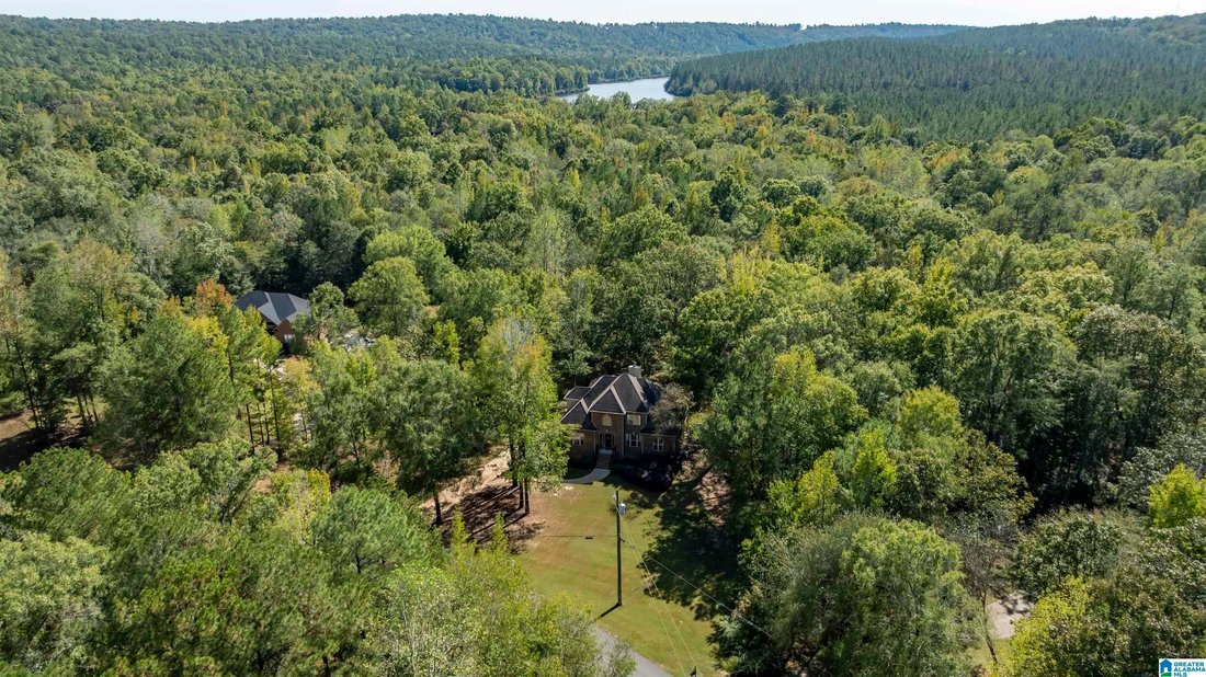 Maison à Chelsea, Alabama, États-Unis 3 - 19068488