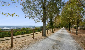 Appartamento a Sainte-Foy-lès-Lyon, Auvergne-Rodano-Alpi, Francia 1