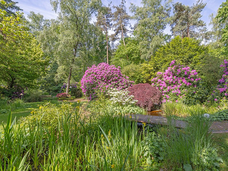 Villa en Oberursel, Hesse, Alemania 5 - 19069497