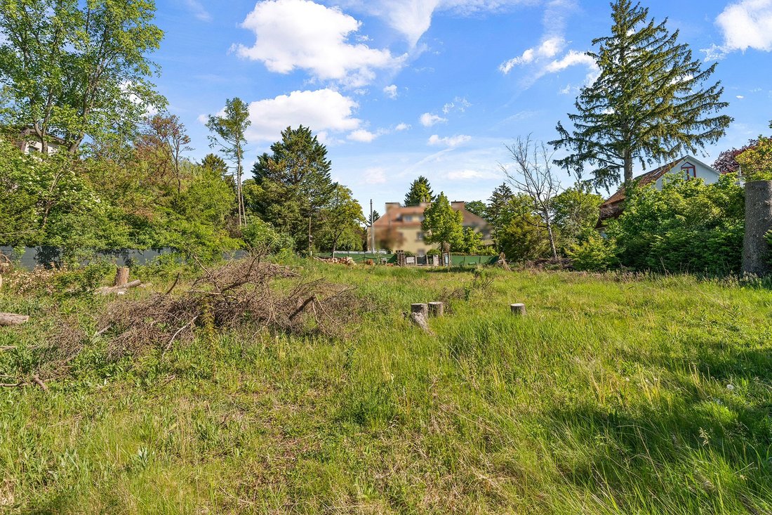 Land in Wien, Wien, Österreich 4 - 19069361