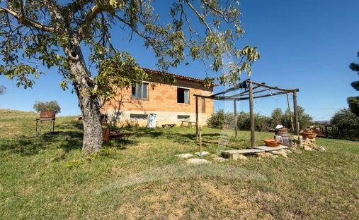 Farm Ranch in Montepulciano, Tuscany, Italy 1
