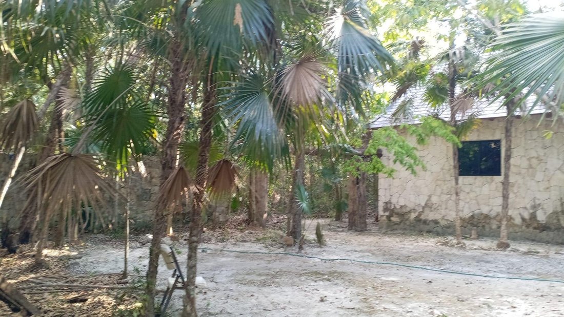 Terreno en Puerto Morelos, Quintana Roo, México 2 - 19075966