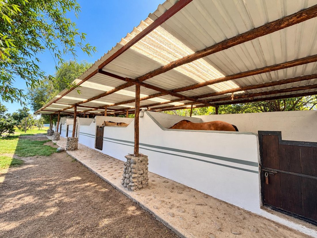 Casa en Huaquechula, Puebla, México 2 - 19072466