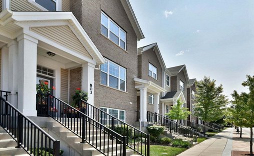 Residenza a Des Plaines, Illinois, Stati Uniti 1