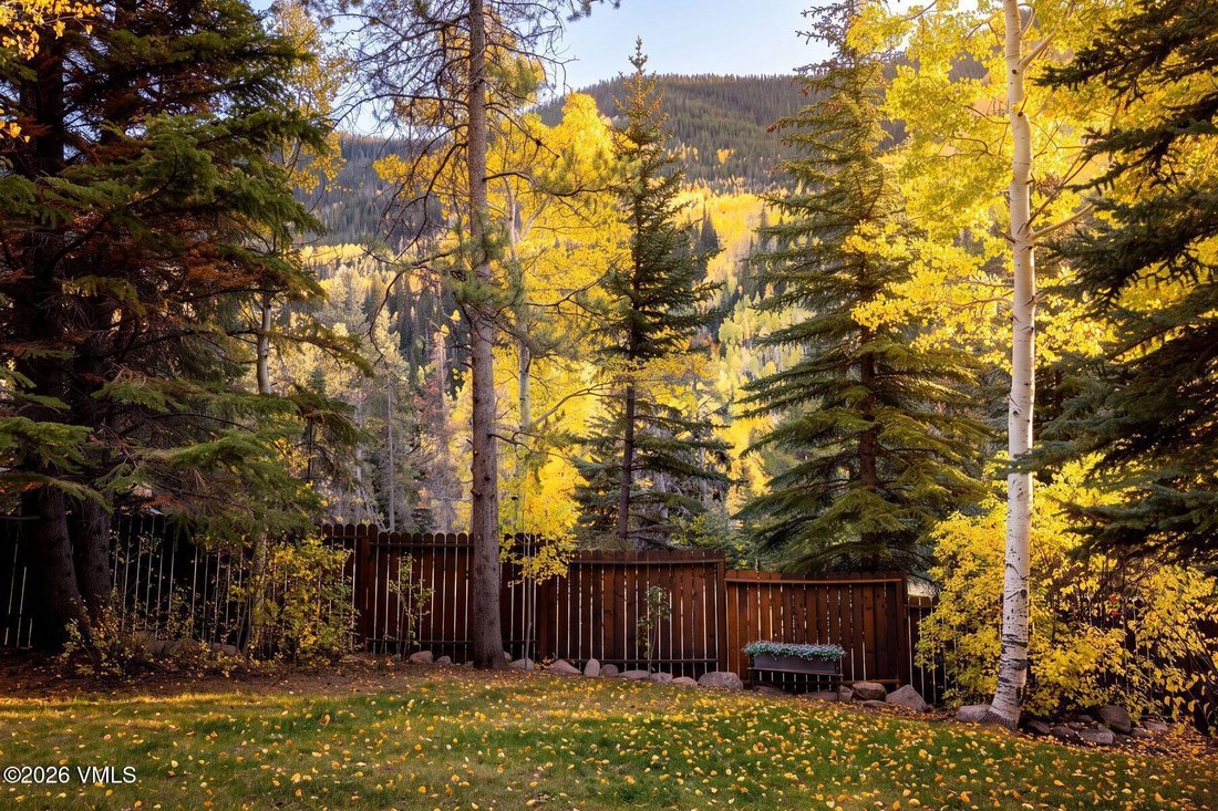 Townhouse en Vail, Colorado, Estados Unidos 3 - 18195925