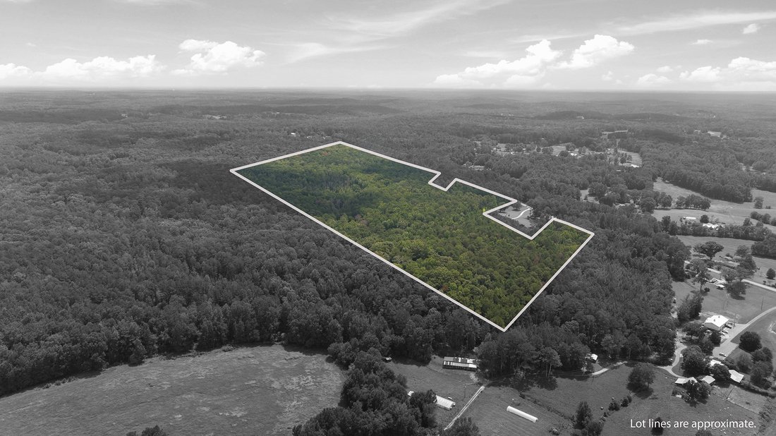 Terreno en Palmetto, Georgia, Estados Unidos 2 - 19073133