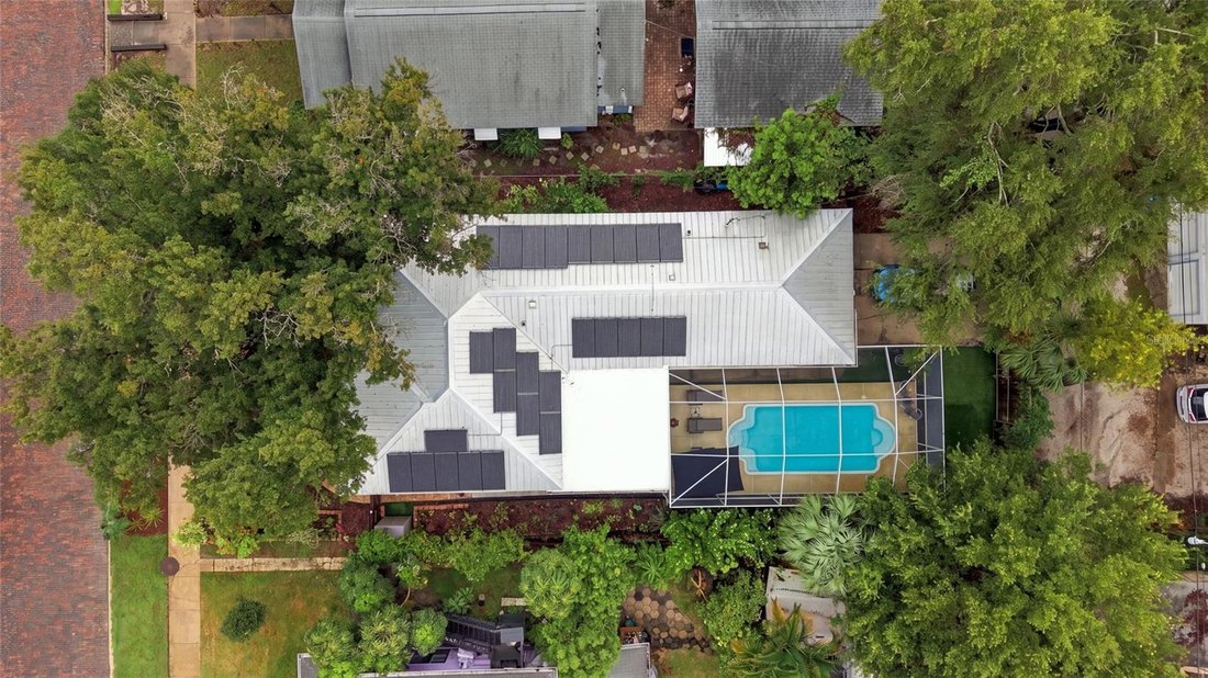 House in St. Petersburg, Florida, United States 5 - 19074067