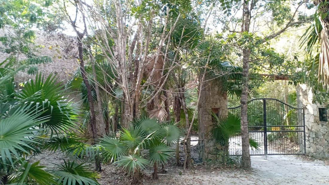 Terreno en Puerto Morelos, Quintana Roo, México 4 - 19075966