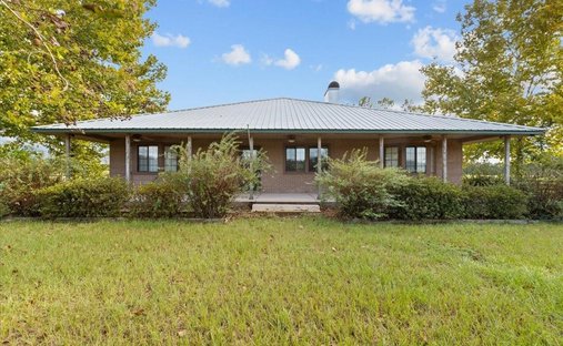 Haus in Bell, Florida, Vereinigte Staaten 1