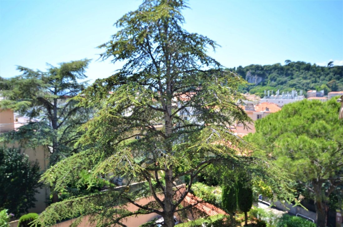 Apartment in Le Port, Nice, France 2 - 19071152