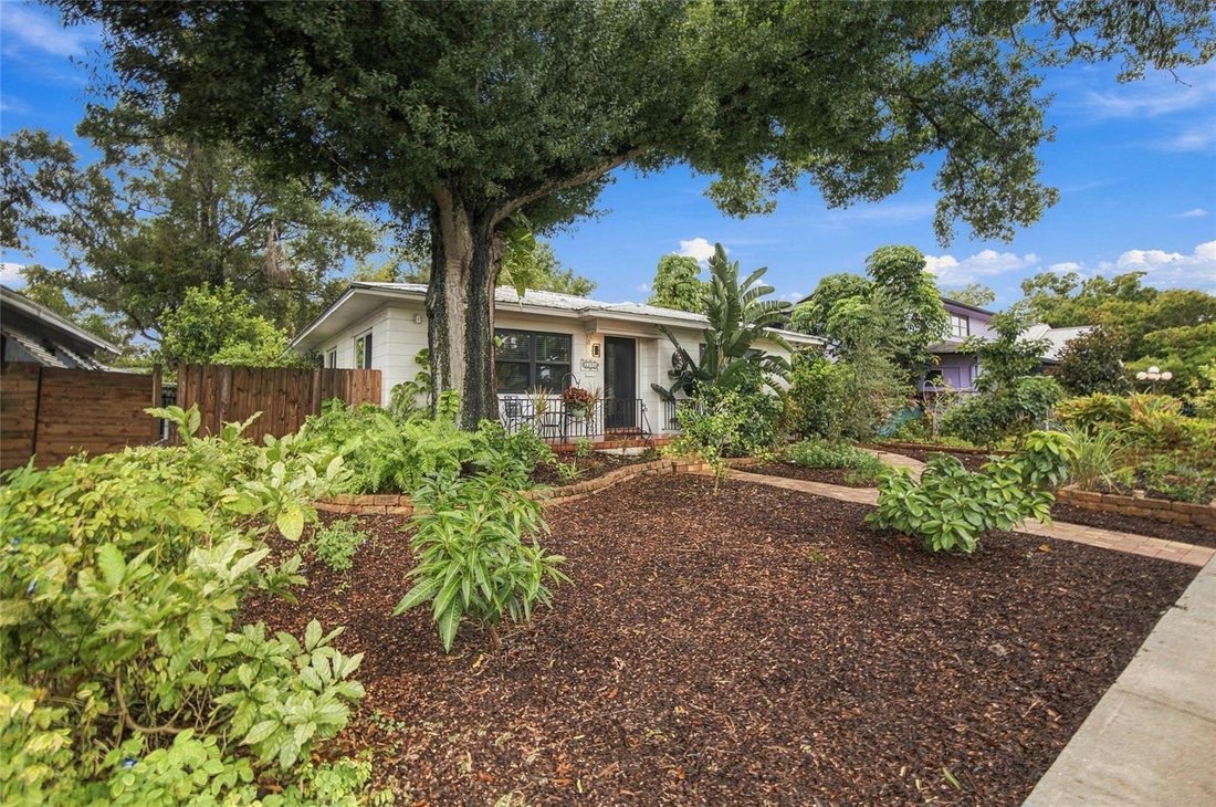 House in St. Petersburg, Florida, United States 3 - 19074067