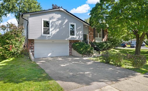 House in Woodridge, Illinois, United States 1