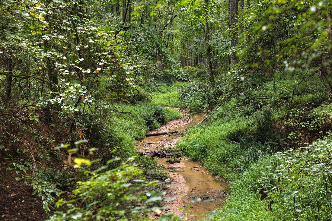 Terreno en Palmetto, Georgia, Estados Unidos 3 - 19073133