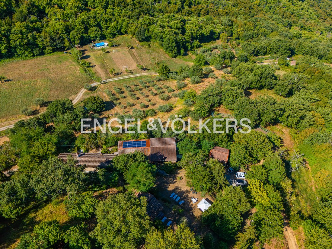 Vicchio, Tuscany, Italy 2 - 19070834