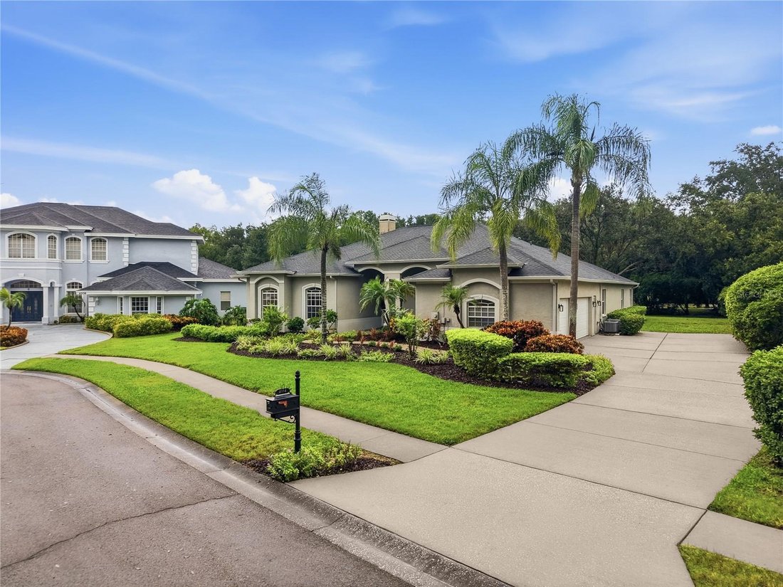 House in Palm Harbor, Florida, United States 4 - 19068742