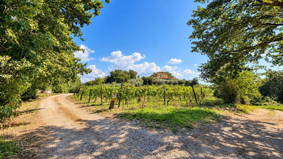 Villa in Spazzavento - Pontelungo, Pistoia, Italy 5 - 19075198