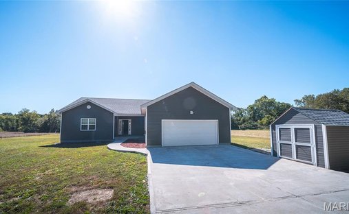 Casa a Villa Ridge, Missouri, Stati Uniti 1