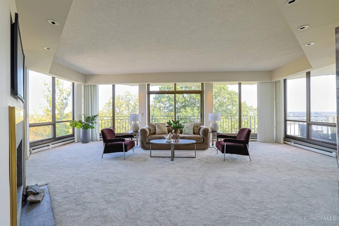Condo in Cincinnati, Ohio, United States 5 - 19073759