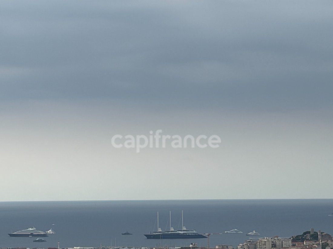 Wohnung in Tassigny, Cannes, Frankreich 1 - 19071648