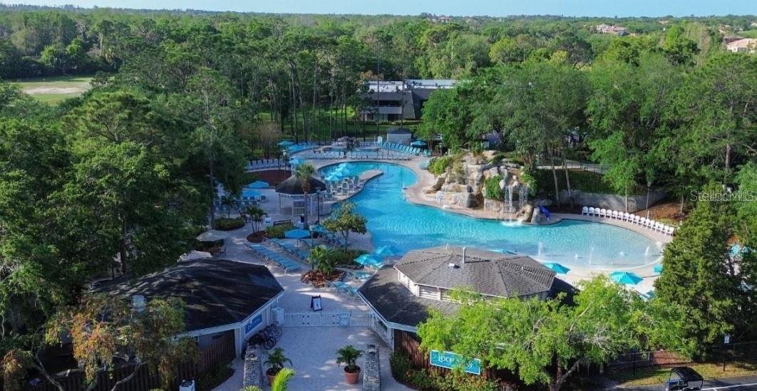 Residenza a Palm Harbor, Florida, Stati Uniti 5 - 19074108